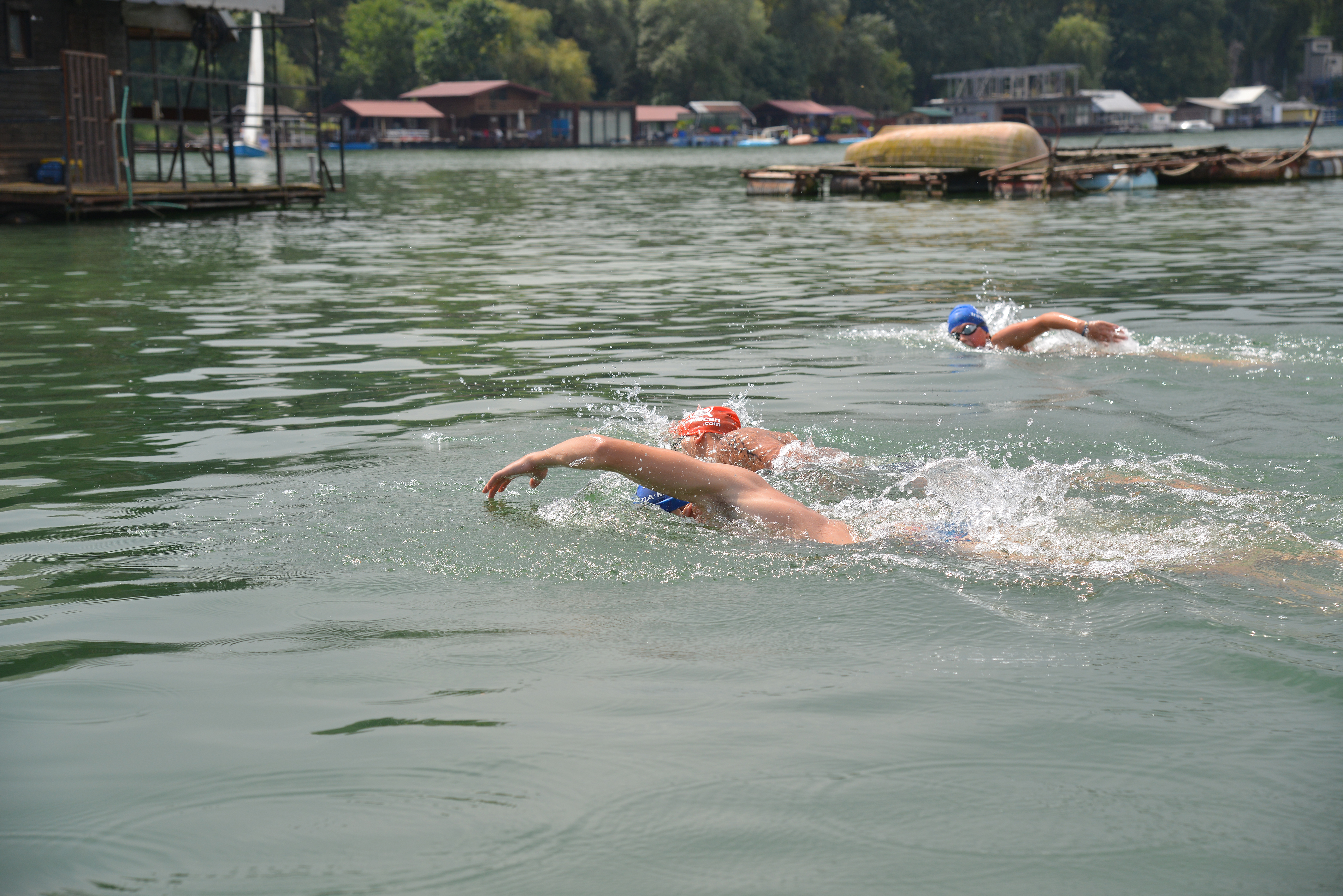 DSC_5246.JPG