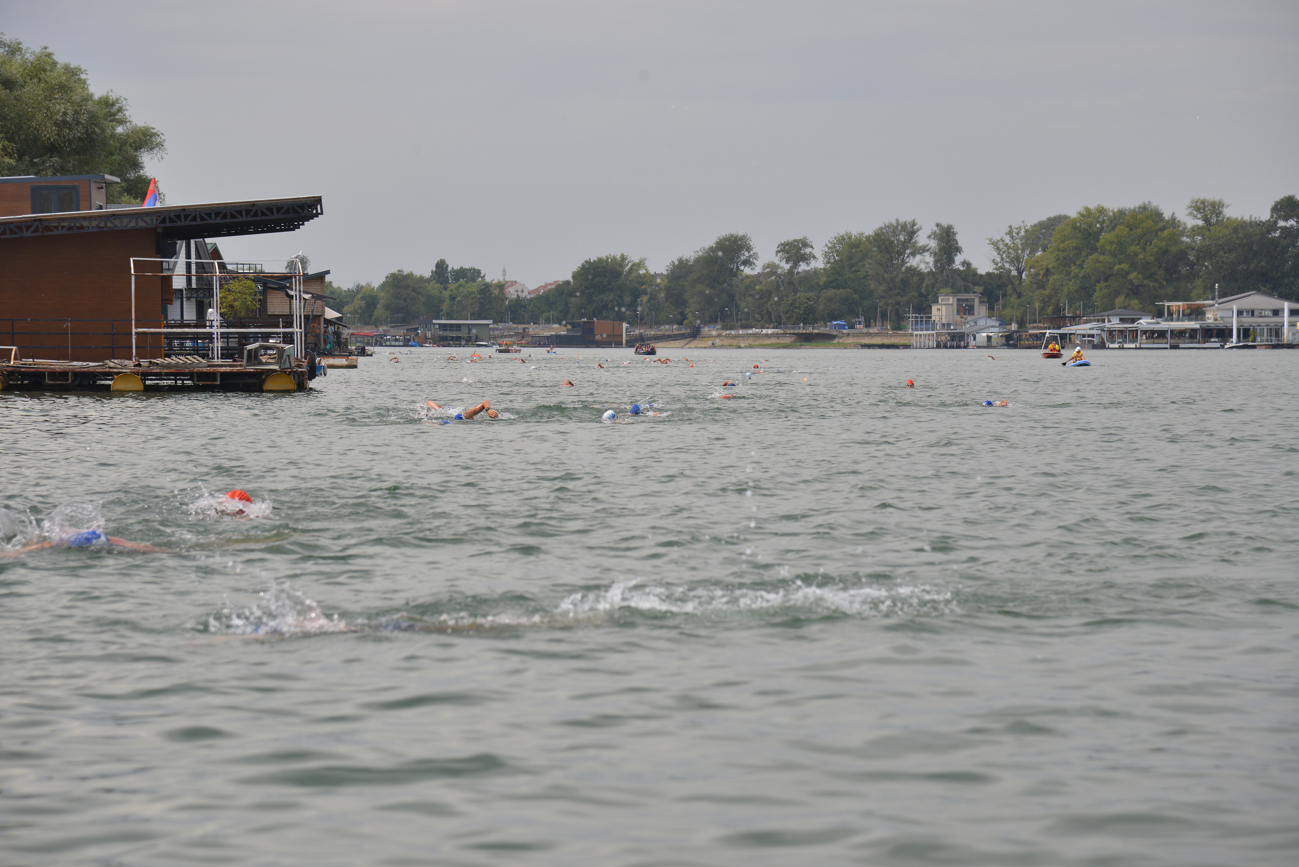 DSC_5253.JPG